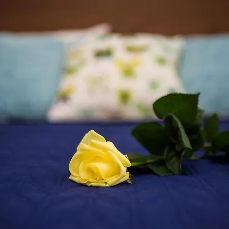 Apartman Insom Cracow Old Town Krotka *